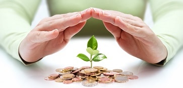 Pair of hands shielding a green shoot growing from a pile of coins