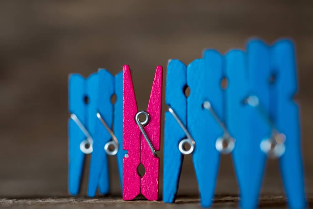 Row of blue and pink pegs