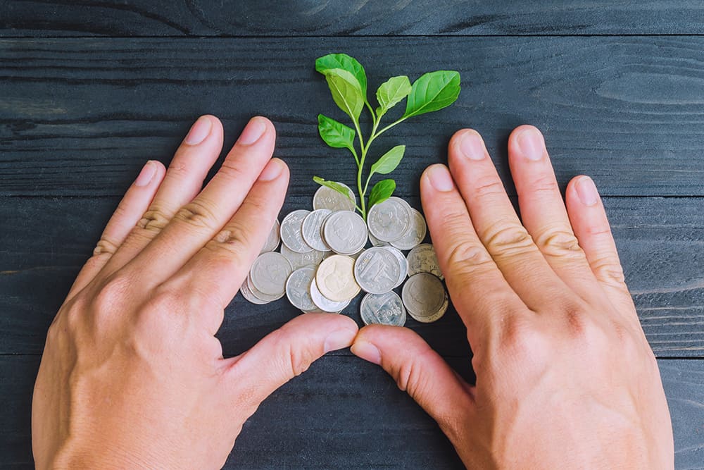 Two hands hold coins with a plant growing out of them