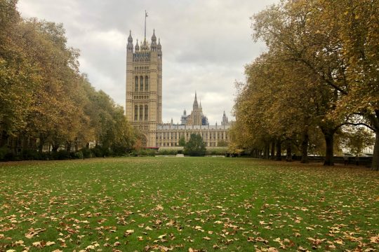 Image of Parliament and Victoria Tower from the Queens Garden