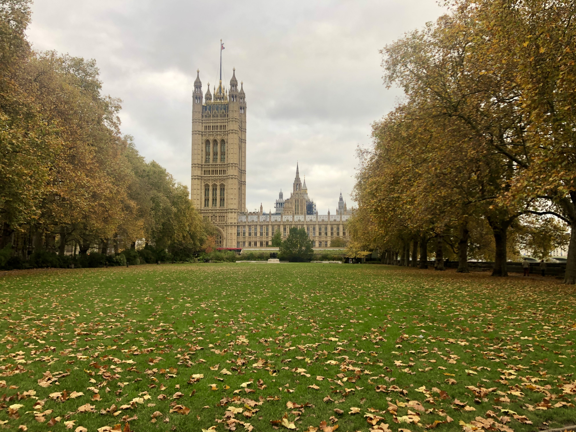 Image of Parliament and Victoria Tower from the Queens Garden