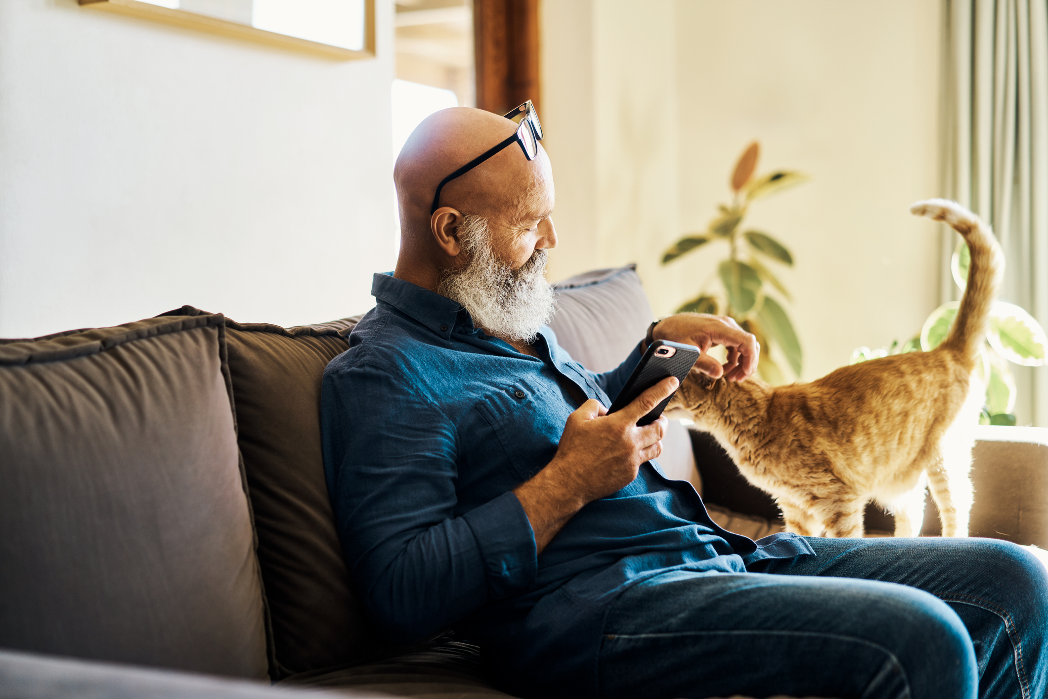 Senior man sat on sofa petting a cat with his left hand, and using a phone in his right hand