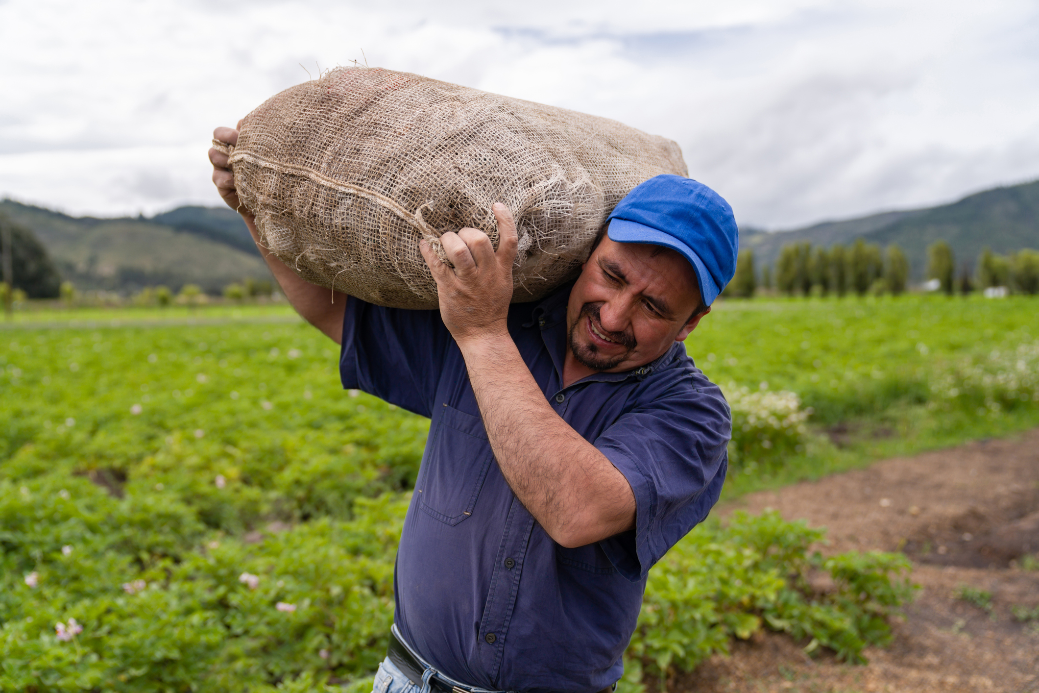 Latin American farmer carrying a sack of potatoes while working at a farm