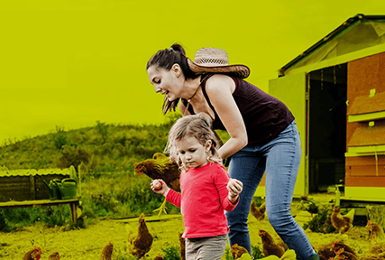 Woman and child collecting eggs from chickens